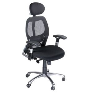 Ergonomická stolička CorpoComfort BX-4028A Black